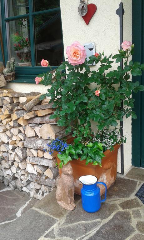 シュラートミンクHoldhaeuslアパートメント 部屋 写真